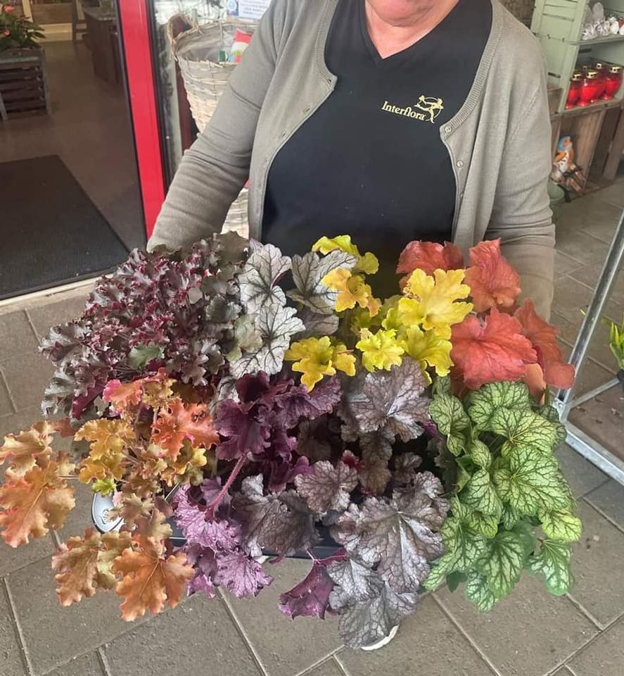Noen får ferdig brett  tilsendt, etter eget ønske, til butikker utforbi Bergen.