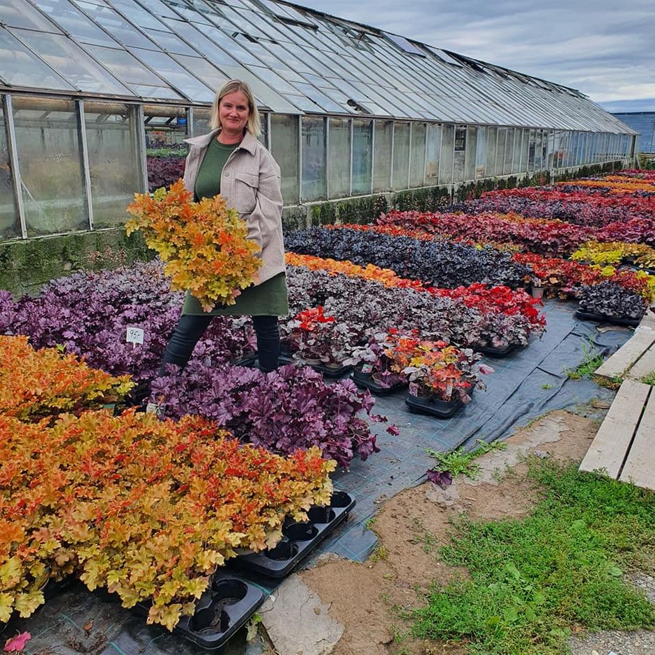 Noen reiser helt fra Stord og plukker ut planter til egen butikk
